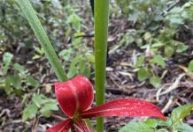 You never know your luck!