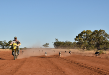 Candid snap wins Rural Aid comp