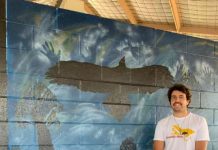 Chinchilla welcomes Mandandanji artist
