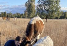 My mum’s a Local Hero