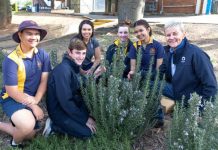 Lesson in conservation