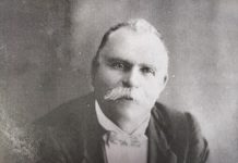 Search for district pioneer