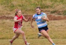 All the way from Hawkesbury to help Echidnas home