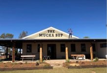 Mighty Mucks wins top gong