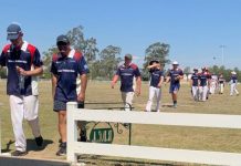 Cricket season is in full swing