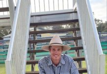 Perfect scoring sheep dogs