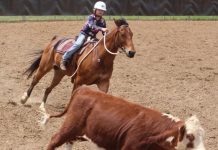 A weekend for spring drafting