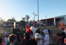 Fish and chips in the park