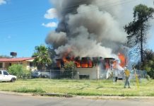 Pets believed dead in Roma house fire