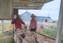 BASALT CREEK CLUSTER DELIVERS ON QFPI R3 Basalt Creek Cluster delivers on Queensland Feral Pest Initiative Round 3 (QFPI).