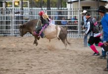 Ride your way to Bullaroma