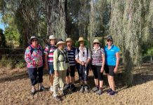 ROMA WALKERS TAKING ON THE GREAT OCEAN WALK
