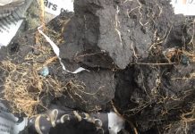 Legume inoculation practices