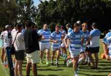 Spiking through the season