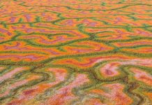 Diamonds in the rough