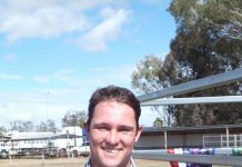 Cattle Judging at the Roma Show
