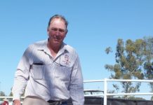 Falling head over heels with Dog Trialing