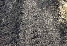Area-Wide Management of Weeds