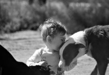 Snapping for rural charity