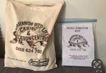 Roma crashes into #3 for animal collision, QLD-wide