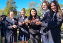 Agricultural Facilities Upgrade at Roma State College