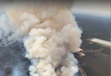 Arson investigation in Tara, Wieambilla area