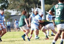 Echidna’s head off to the ‘Fish Bowl’