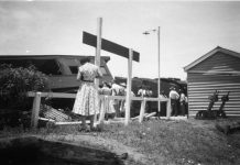 Remembering the Wallumbilla Train Smash of 1956