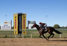 Roma Turf Club’s 2023 Winter Carnival for the Cities RLFC Race Day, Second day kicks off