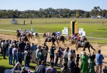 Families and Fillies Frolic in the Winter Sun at Basset Park