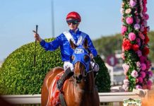 Roma trainer Craig Smith does Roma proud