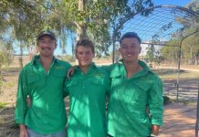 Conversations with Nikki