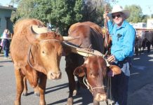 Maranoa history comes alive