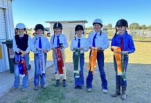 Campdraft a roaring success