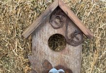 Beauty and the Barb in Injune