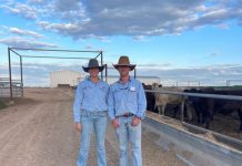 Roma’s Beef Expansion