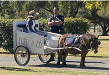 Surat Pony Club horses around for National Cobb and Co Day