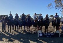 Surat Campdraft kicks off