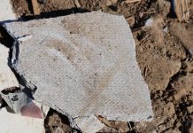 Asbestos forces part of Roma Waste Facility to close