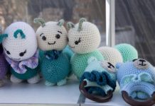 Surat’s Mini Show Day