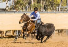 Wallumbilla kicks up biggest program yet