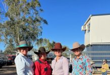 Barrel racing kicks off