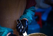 Chicken Listeria Cluster