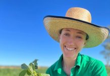 Bumper crop of scholars