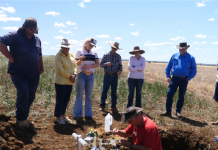 Digging deep at Plain Farm