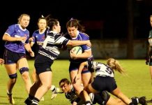 Echidnas shine in nationals