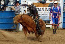 Buckle up for Injune