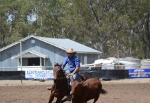 Campdraft lifts the mood