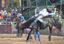 Buckle up to the 2023 Mitchell Rodeo