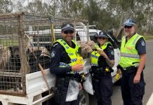 Road cops kick off new campaign